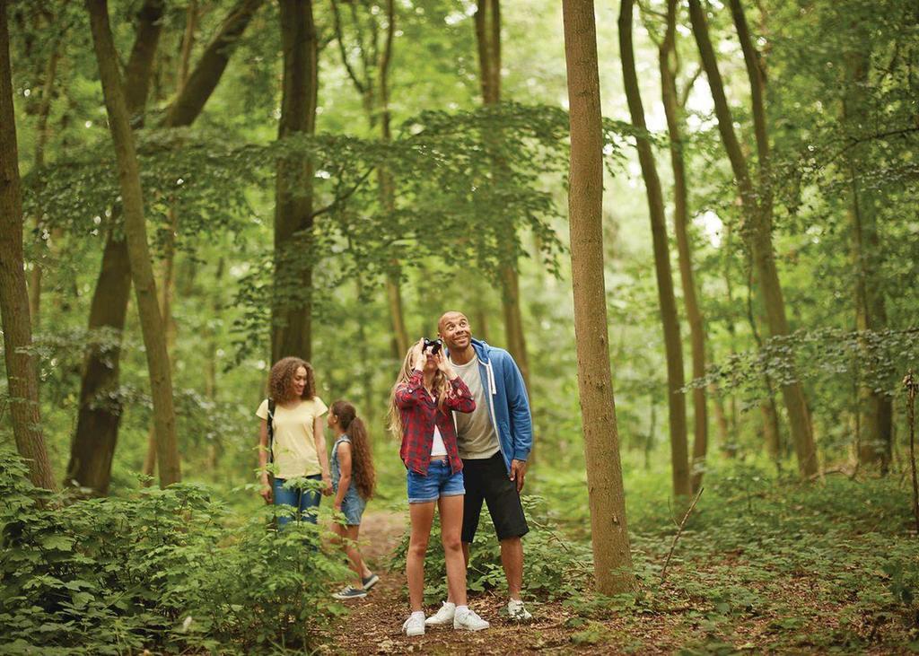 Wigbay Holiday Park Kirkcolm Екстериор снимка